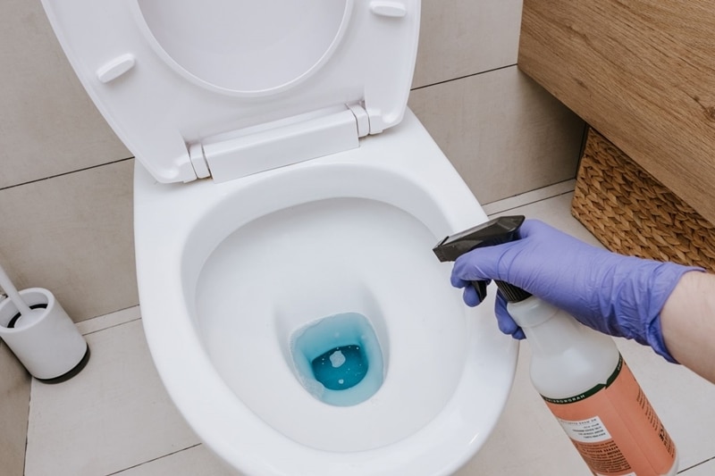 Acide chlorhydrique dans les toilettes : comment nettoyer un WC entartré ?