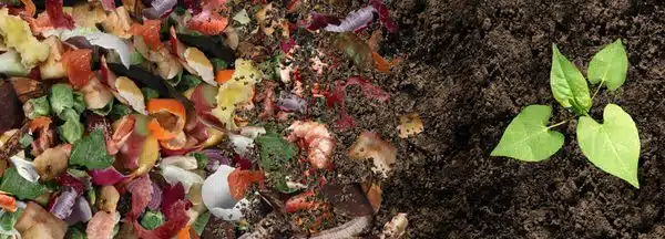 Comment recycler les déchets alimentaires ?
