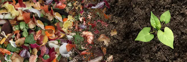 Comment recycler les déchets alimentaires ?