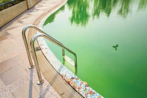 Quels sont les meilleurs produits piscine ?