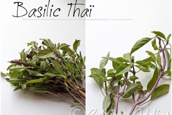 Comment se mange le basilic ?