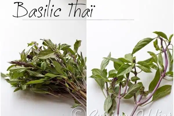 Comment se mange le basilic ?