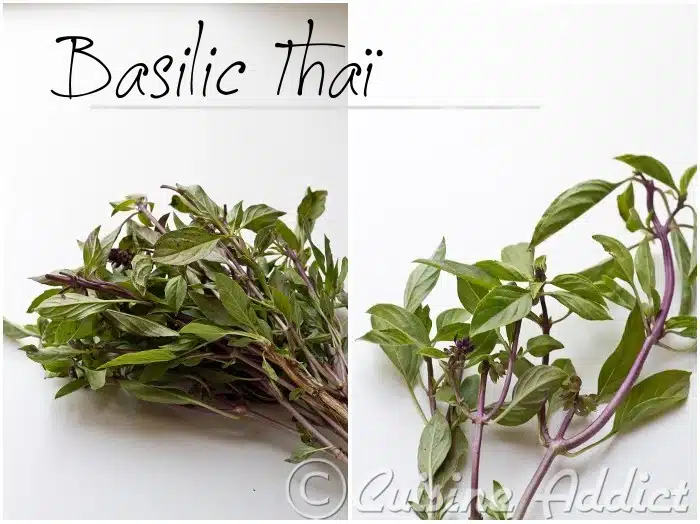 Comment se mange le basilic ?