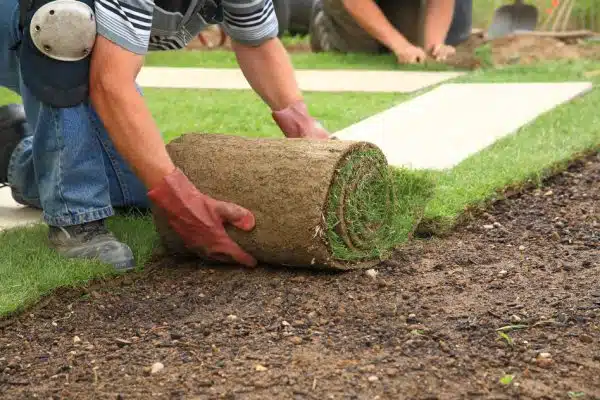 Comment reconnaître un bon jardinier paysagiste ?